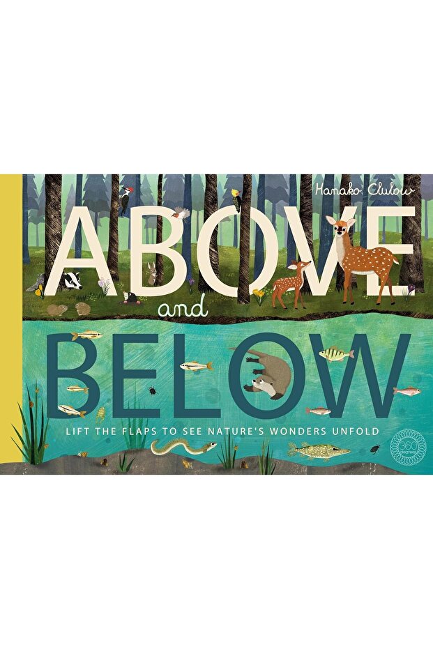 Above and Below