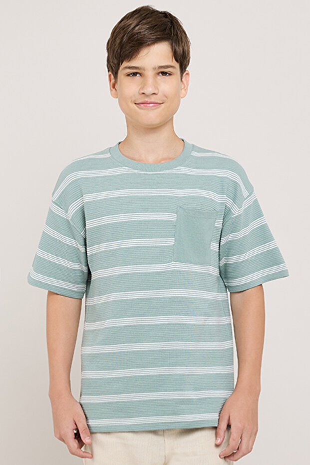 Striped T-Shirt With Crew Neck and Short Sleeves