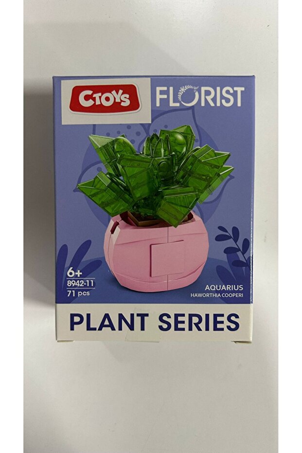 Ctoys Aquarius 8942-11 Flower Making Block Set Micro Lego Compatible-Florist Series Tabletop Decor
