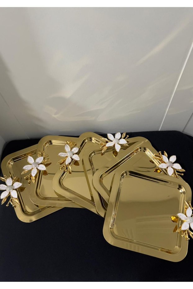 Single-Sided Gold 6-Piece Stainless Steel Coffee Presentation & Serving & Catering Tray with Daisy Accessories