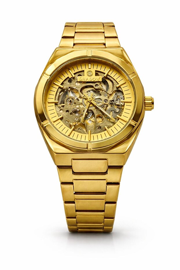 Legacy Skeleton Automatic Watch for Men Stainless Steel Gold Strap Transparent Dial