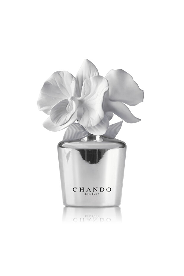 Mini Silver 35ml - 1