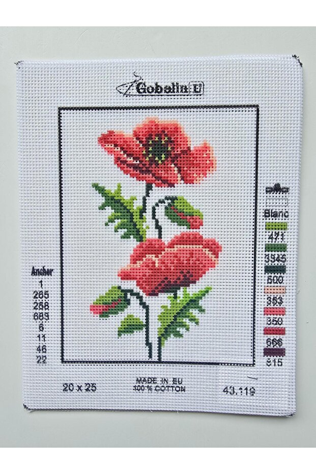 20X25CM GLOBUS - 1