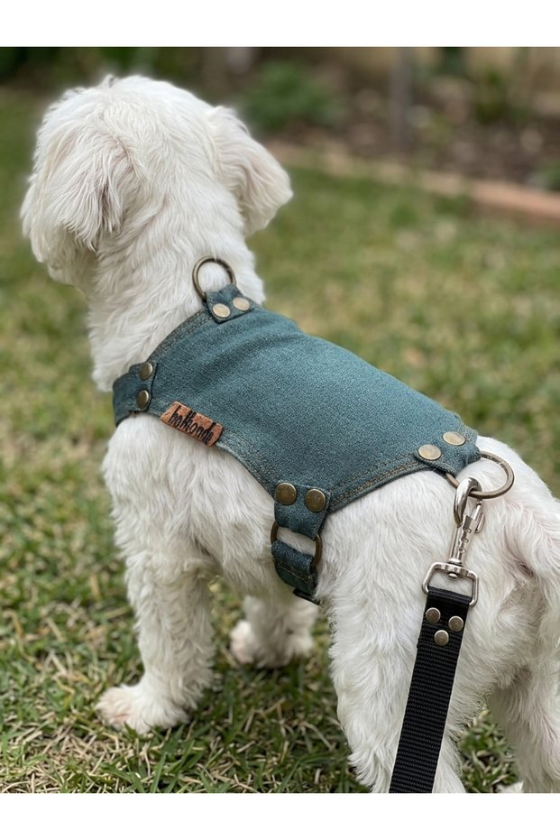 Dog Chest Harness Adjustable for Small & Small Breeds Denim Petrol Blue