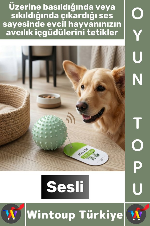 # Pet Small Breed Dog Hunting Instinct Massage Teeth Scratching Sound Spiky Cat Toy Ball