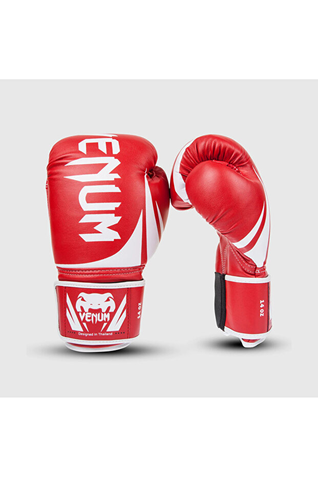Challenger 2.0 Boxing Gloves - 1