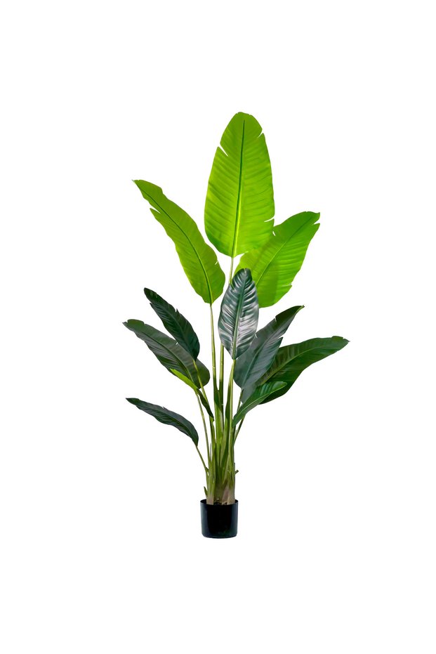 220cm Artificial Banana Plant Fake Bird of Paradise Plant for Indoors Home Office Decor