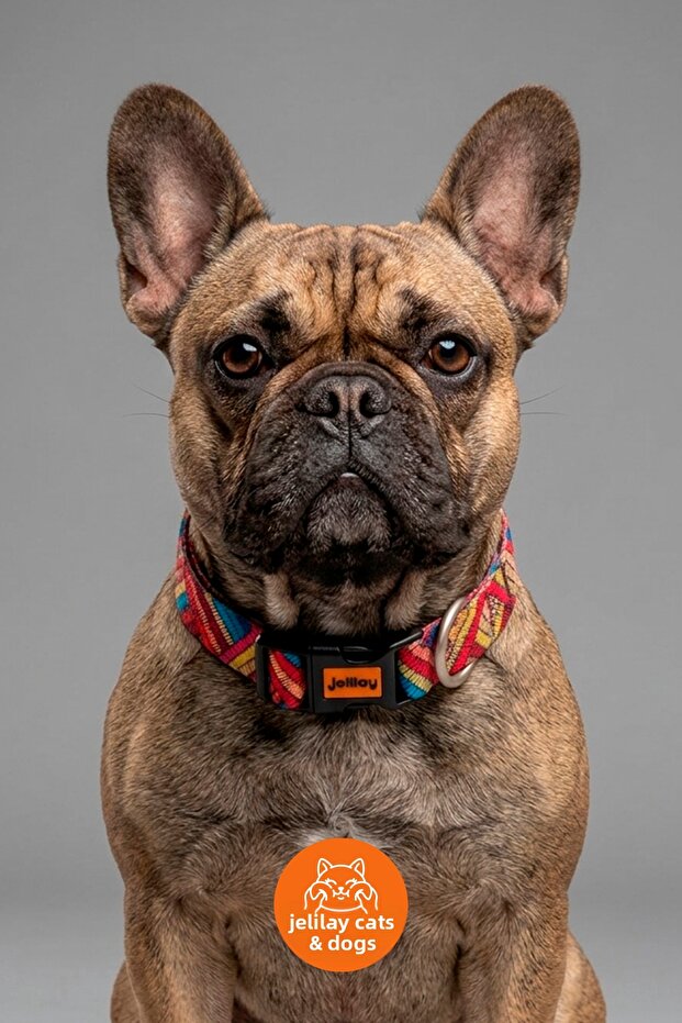 Colorful Patterned Dog Collars - Adjustable - 3