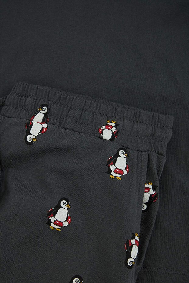Antrasit Regular Penguen Nakışlı Yazlık Örme Pijama Takımı TMNSS26PT00008 - 6
