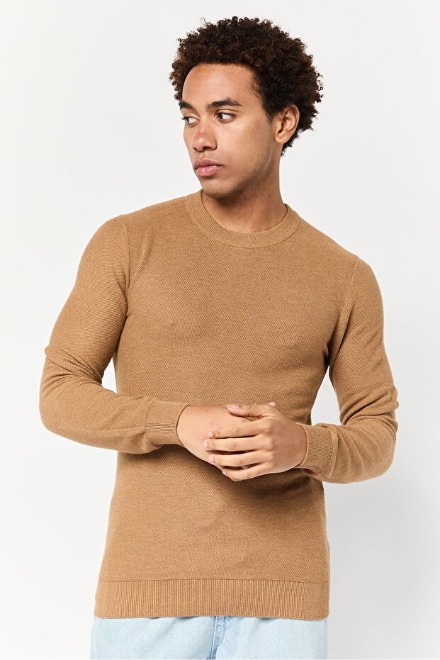 Men Crew Neck Textured Sweater, Brown