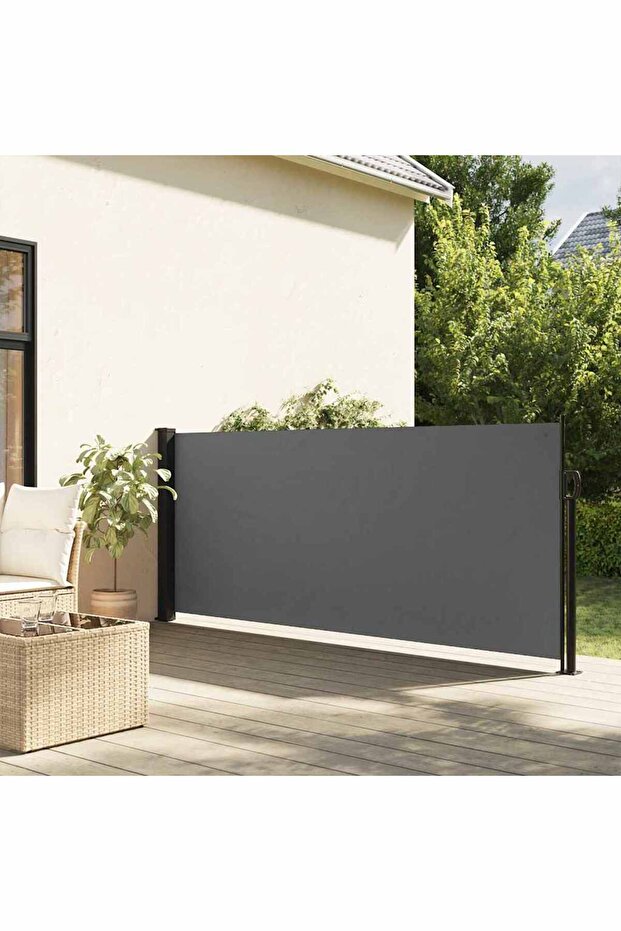 Retractable Side Awning Anthracite 100x500 cm