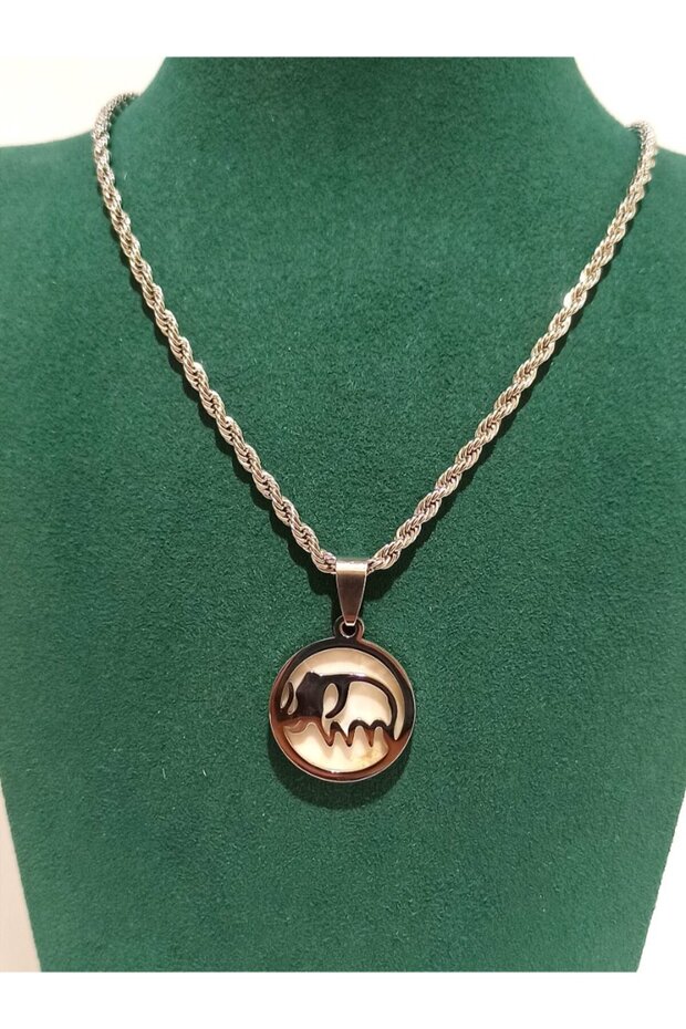 Silver Color Luxury Figured Flashy Necklace