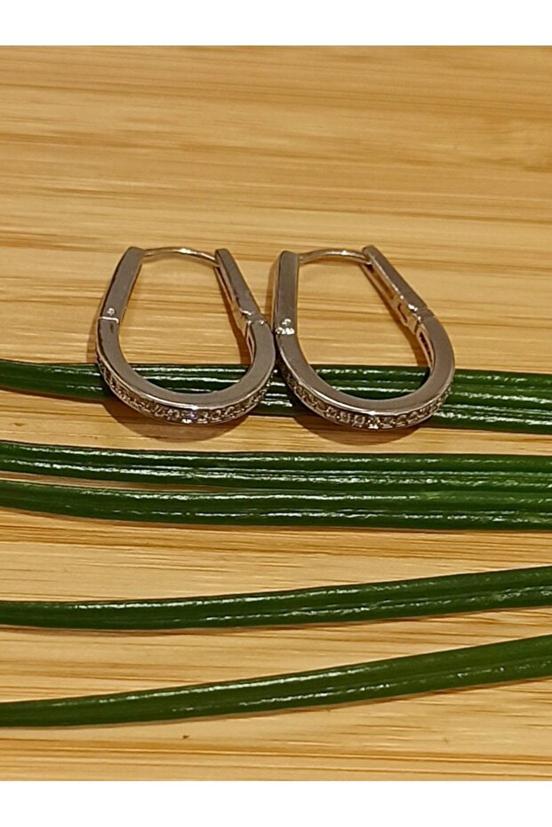 Silver Color Luxury Flashy Figured Earrings
