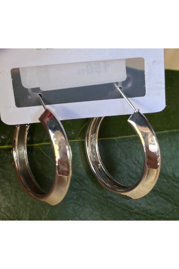 Silver Color Luxury Flashy Earrings