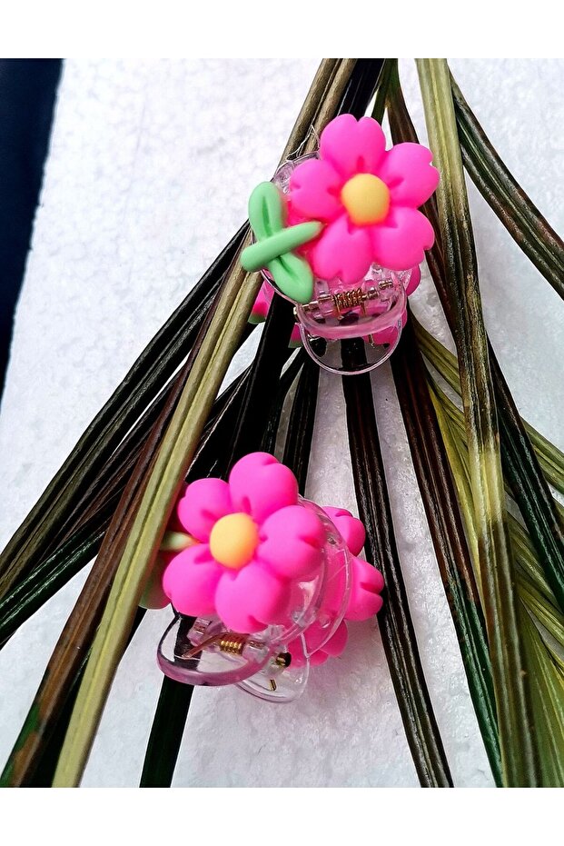Luxury Figured Colorful Double Pinch Buckle