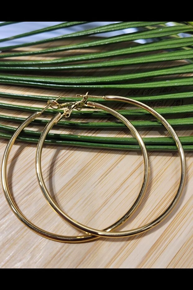 Steel Tarnish Resistant Luxury Hoop Earrings