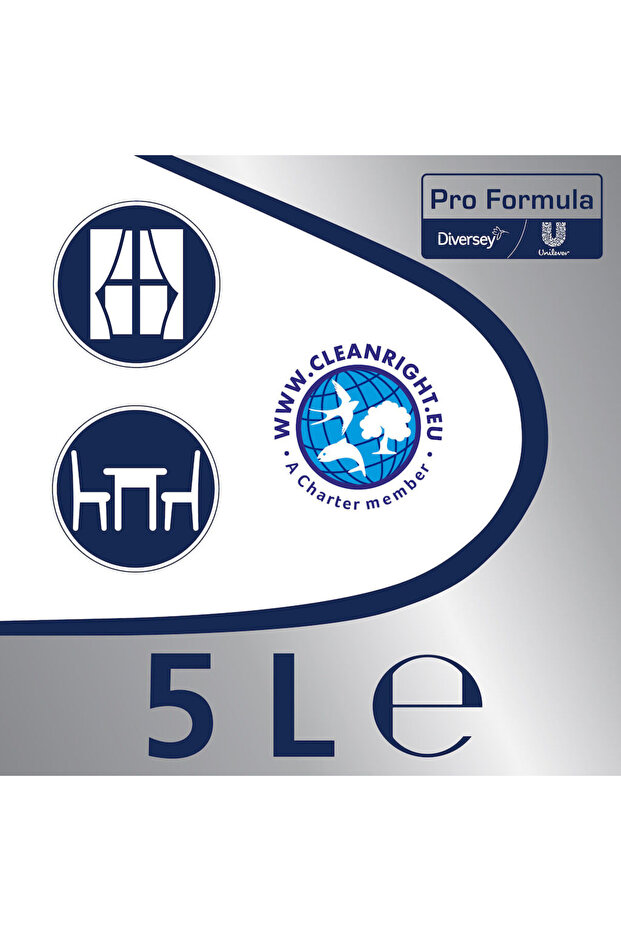 detergent de geamuri 5l - 3