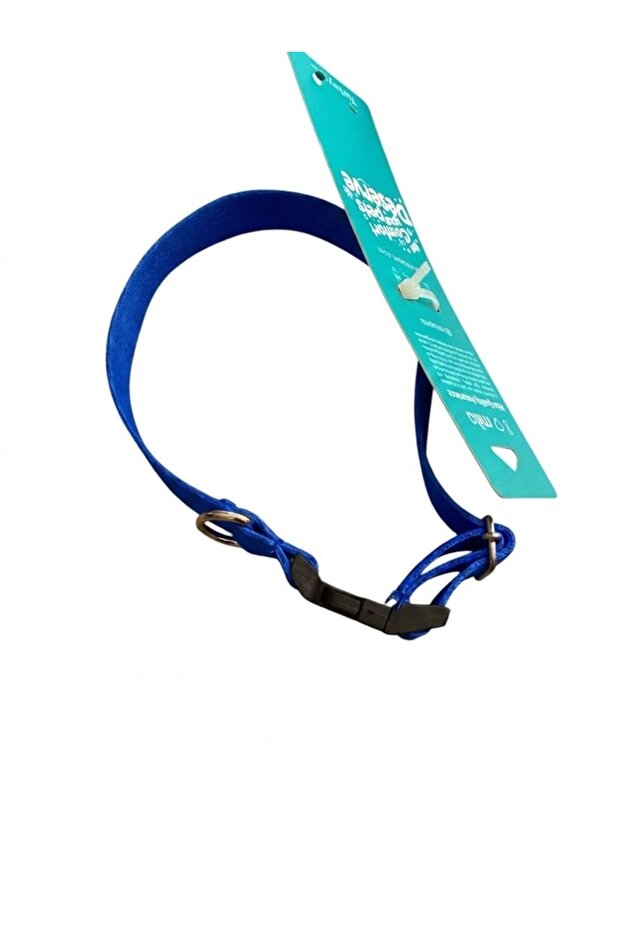 Adjustable Dog Collar Cobalt Blue