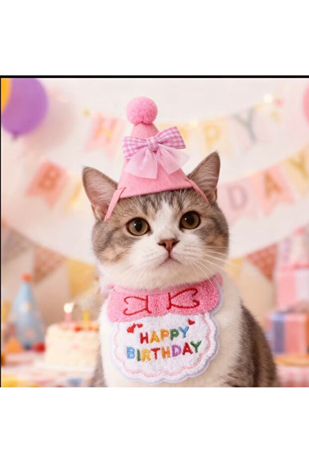 Cat/Dog Birthday Party Hat and Bib Set