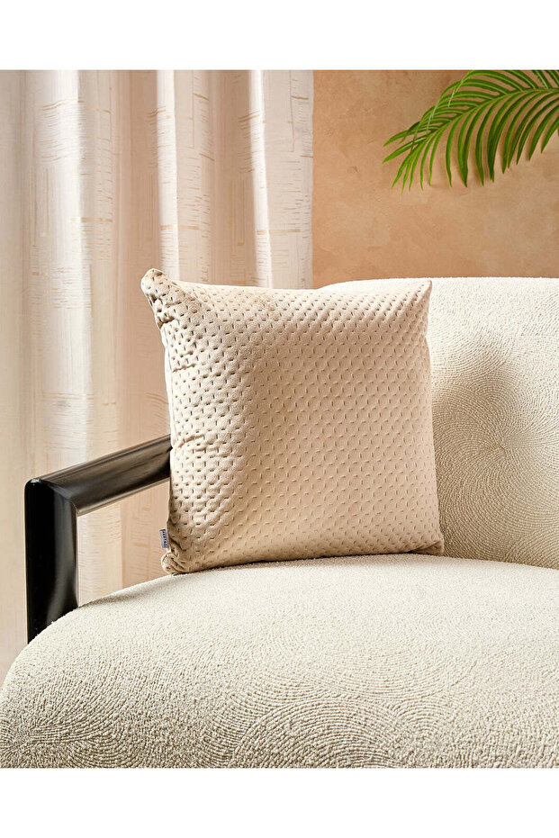 Beige Embroidered Pinsonic Cushion