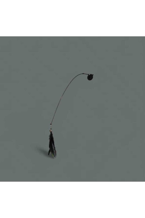 Cat Fishing Rod with Suction Cup