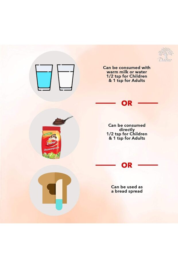 Chyawanprash 500g - 4