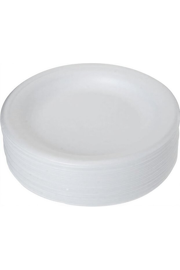 Disposable White Insulation Paper Foam Heavy Duty Buffet Plates (10 Inch, 25s)