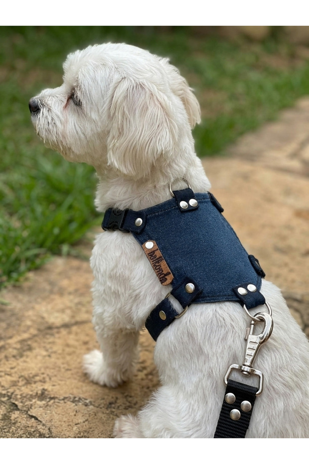 Dog Chest Harness Adjustable for Small & Small Breeds Denim Navy Blue