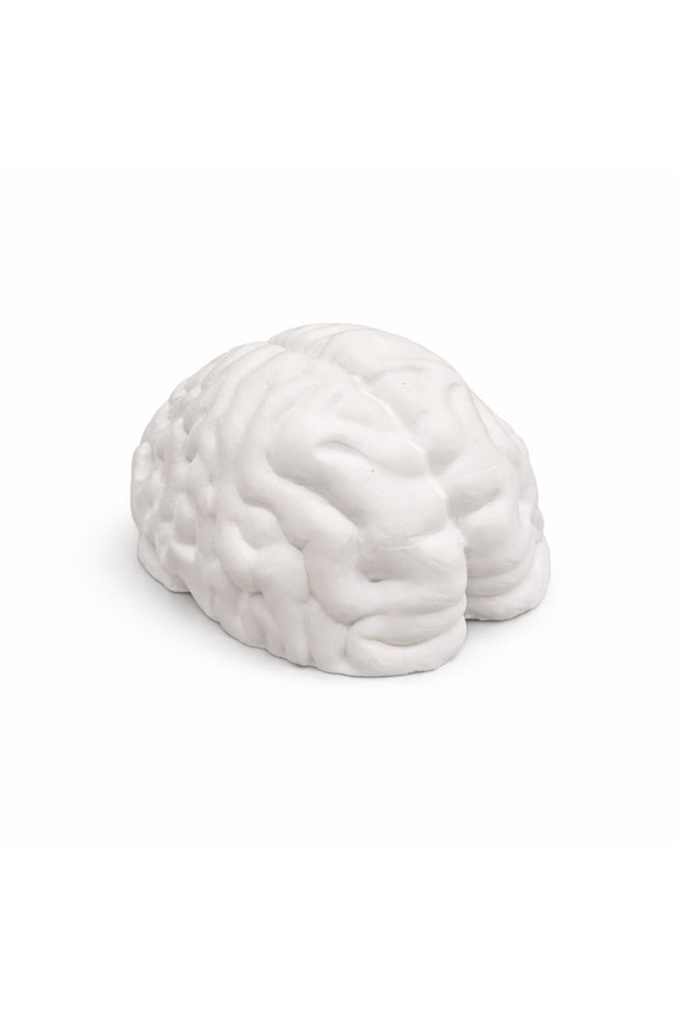 Plaster figurine 3D Brain