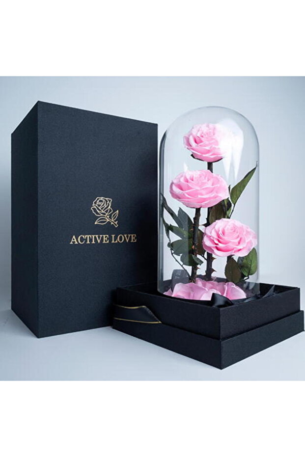 Pink Infinity Roses