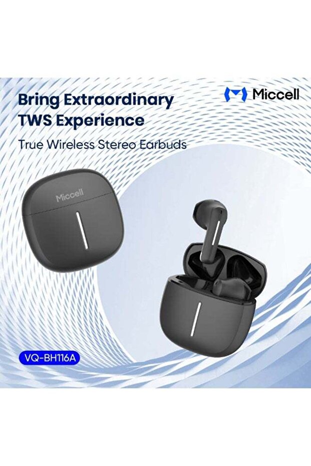 BH116B ANC+ENC Wireless Earbuds