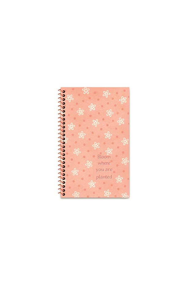 13X21 Spiral Bound Hard Cover Lined Pastel Motto Notebook - Star