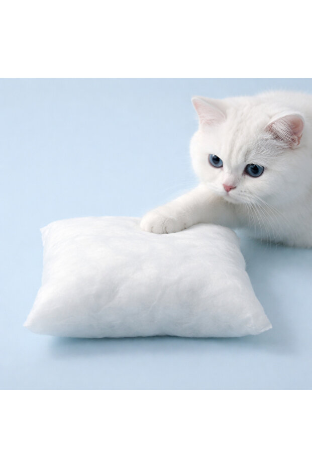 Silicone Throw Pillow