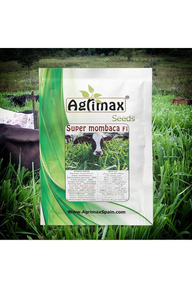 Super Mombaca F1 Premium Quality Seeds (Made in Spain)