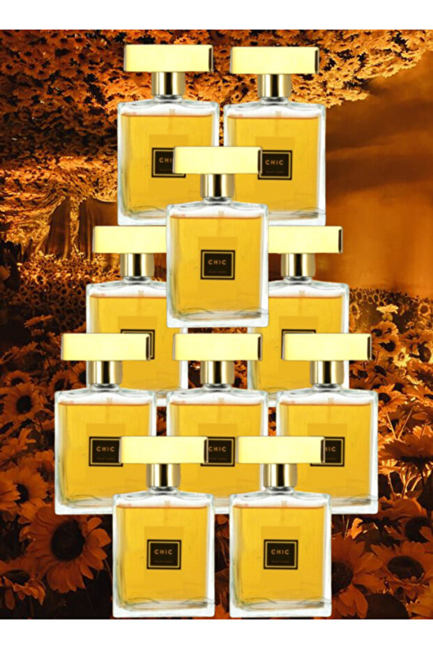 10 قطع عطر شيك للنساء 100 مل
