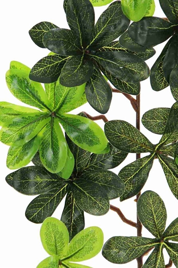 Artificial Taflan Leaf - 3