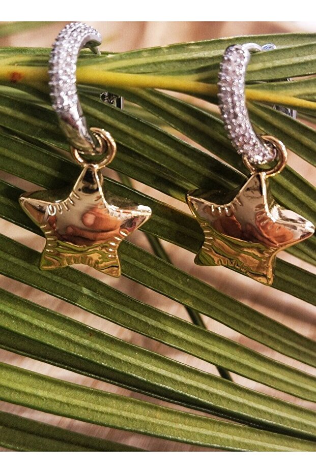 Luxury Star Figured Dangle Earrings