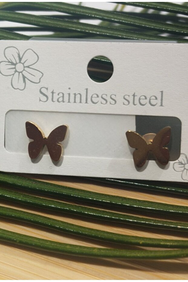 Steel Stone Gold Color Earrings