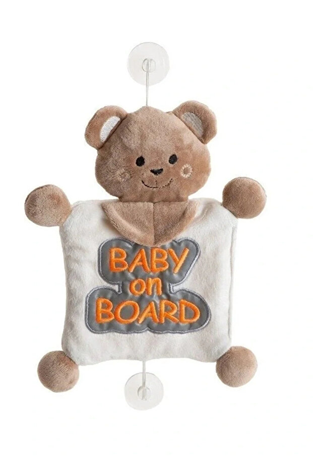 Reflective Baby in the Car Apparatus 875