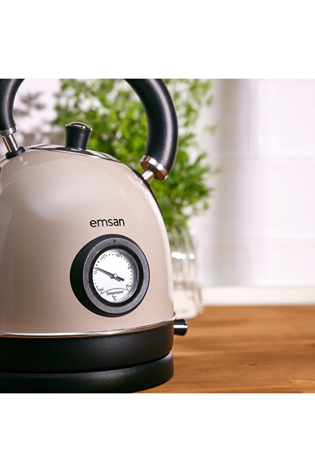 Turtle Kettle Beige - 2