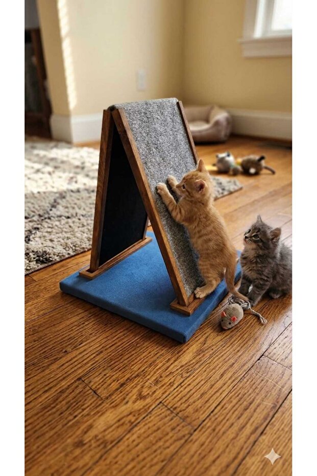Cat Scratching - 6