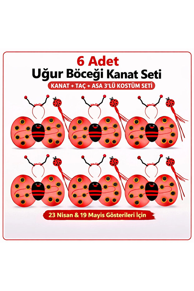 639Li Ladybug Costume Set – Wing Crown Scepter