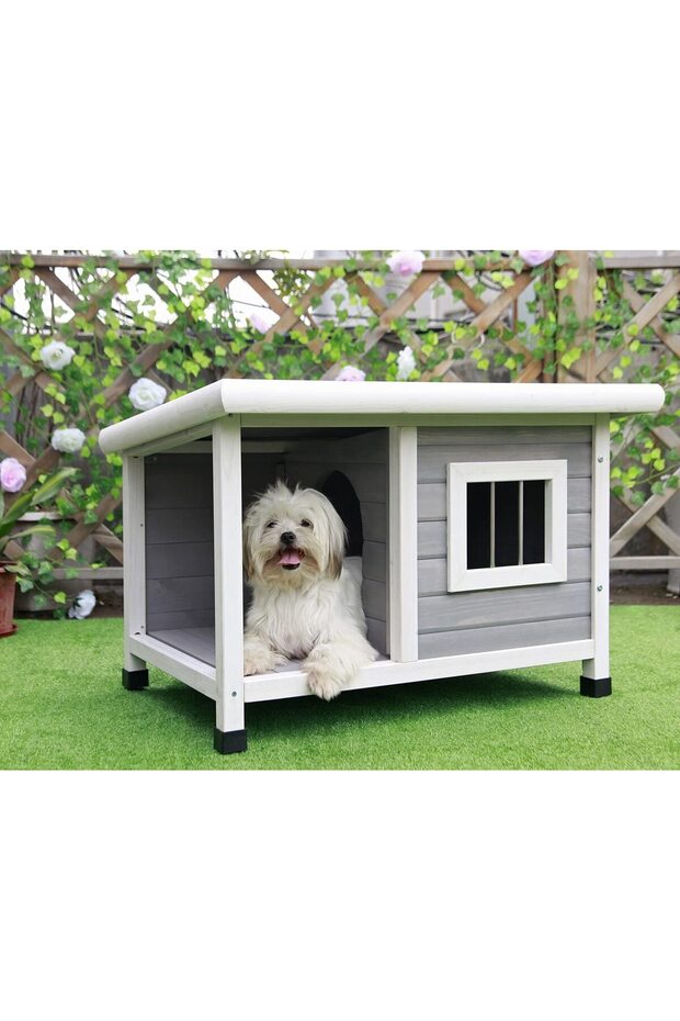 Ahşap Köpek Kulübesi