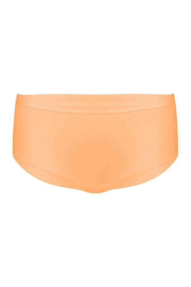 Panty Basic - 7