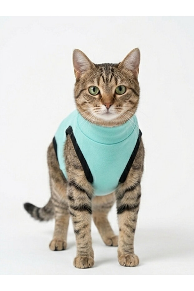 Cat and Dog Postoperative Protective Coverall Sleeveless Wound Protective Clothing with Snap Fasteners on the Back