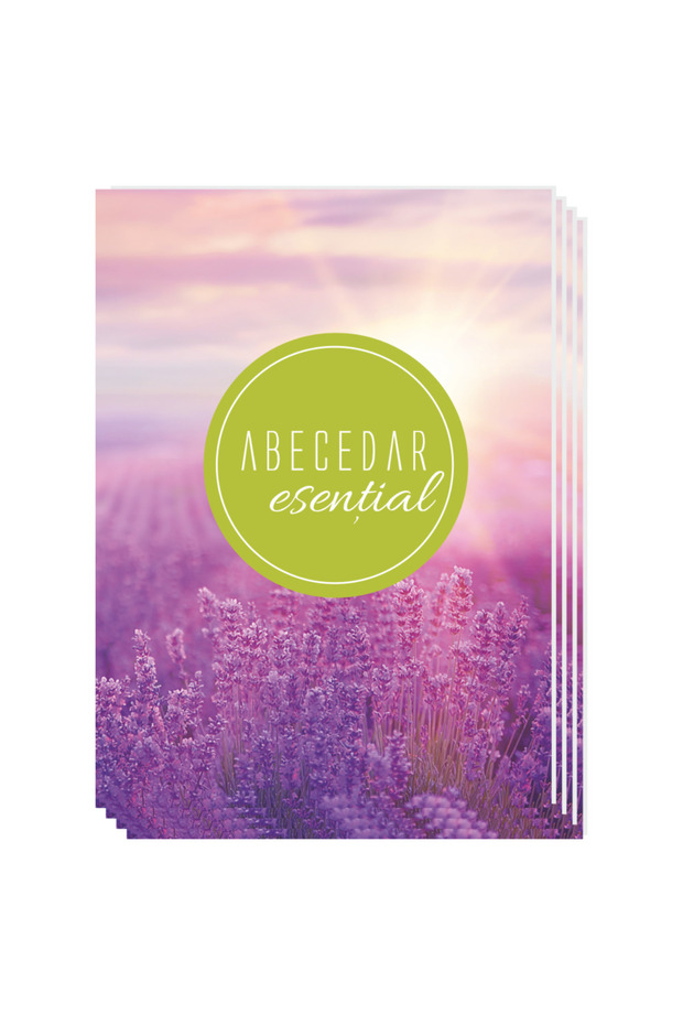 Essential Primer - dostore - 4