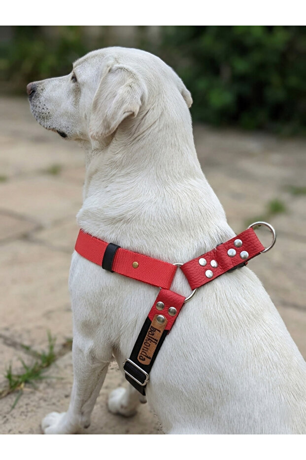 Dog Chest Harness Large Breed Adjustable Column Cord Red & Black