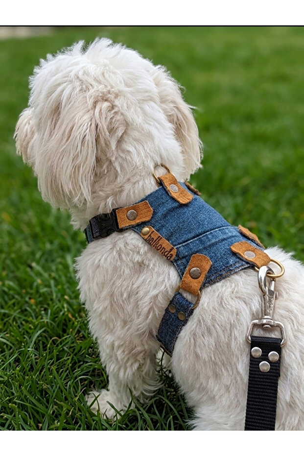 Dog Chest Harness Adjustable for Small & Small Breeds Denim Blue