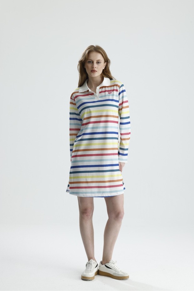 Polo Neck A-Line Long Sleeve Mini Dress with Thin Stripes
