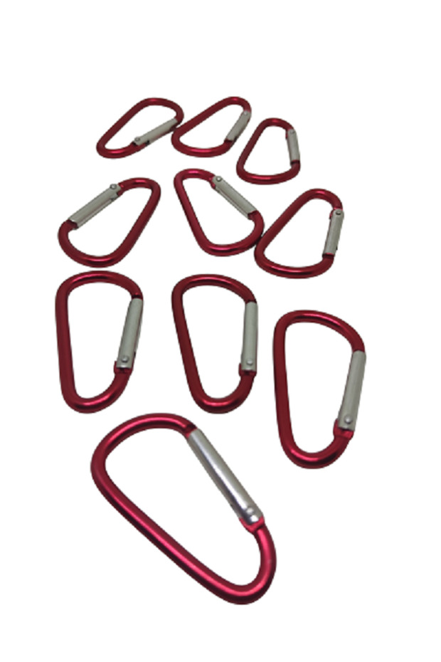 Paracord Accessory Carabiner